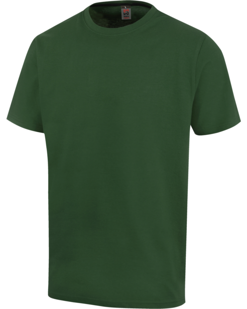 Pack 5 camisetas Verde (misma talla)